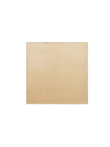 Studio Doe - Premium Mulberry Silk Satin Scarf